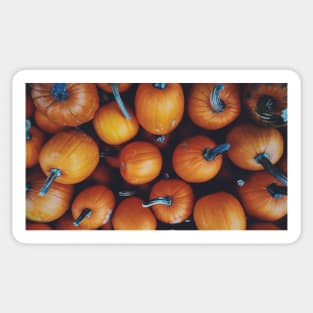 pumpkin Sticker